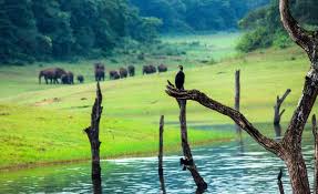Thekkady