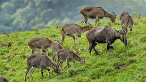 Munnar